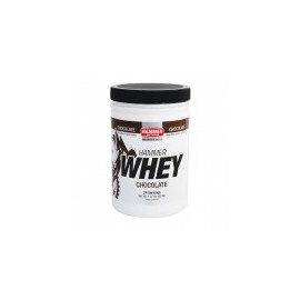 Proteína Hammer Nutrition Whey