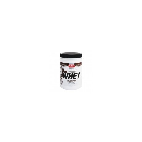 Proteína Hammer Nutrition Whey