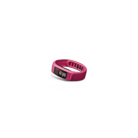 Banda de fitness Vivofit 2 Garmin